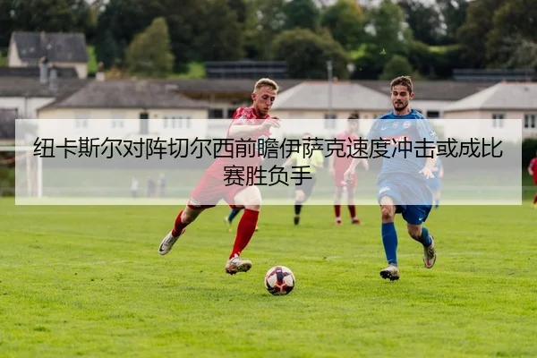 纽卡斯尔对阵切尔西前瞻伊萨克速度冲击或成比赛胜负手